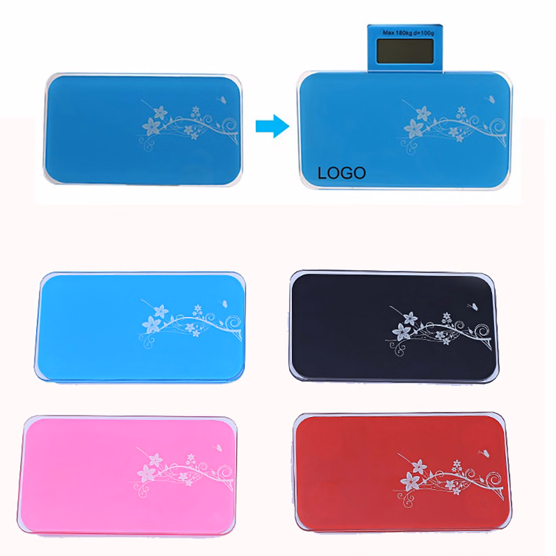 Digital Mini Scale with Expandable Readout