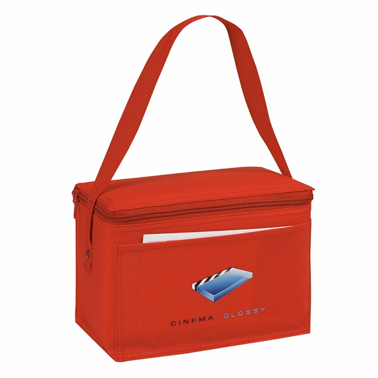 Insulated 6 Pack Cooler