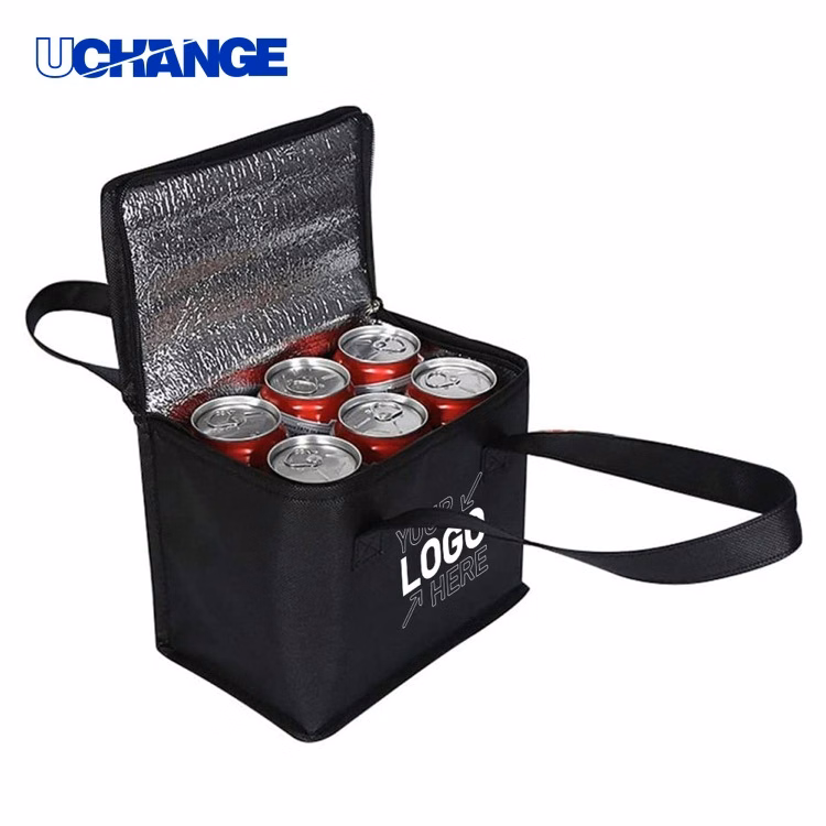 Non-Woven Thermal Insulated Lunch Bag Tote