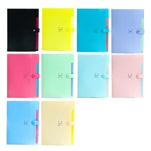 Expandable File Folder With Elastic Closure 1