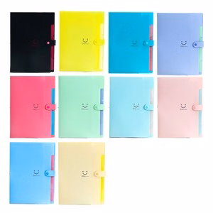 Expandable File Folder With Elastic Closure