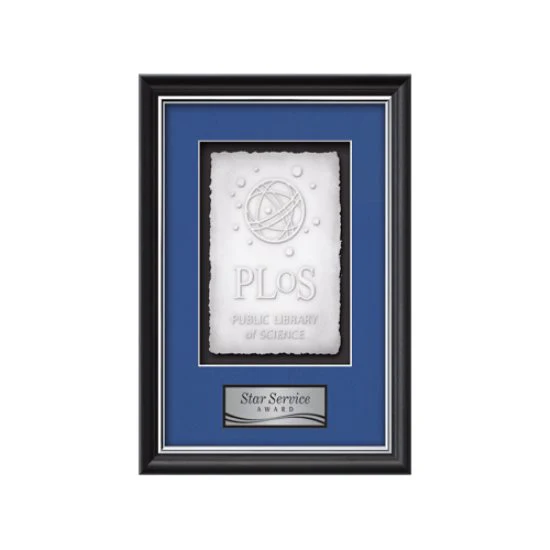 Baron Cast Paper- Black/Silver 1