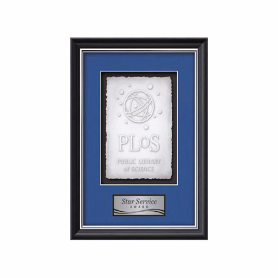 Baron Cast Paper- Black/Silver