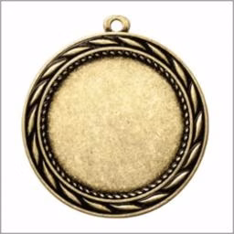 2" Insert Holder Medal