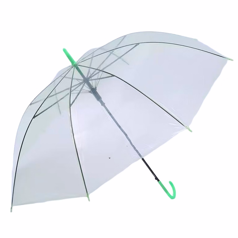 Professional Full-Length Clear Canopy Umbrella