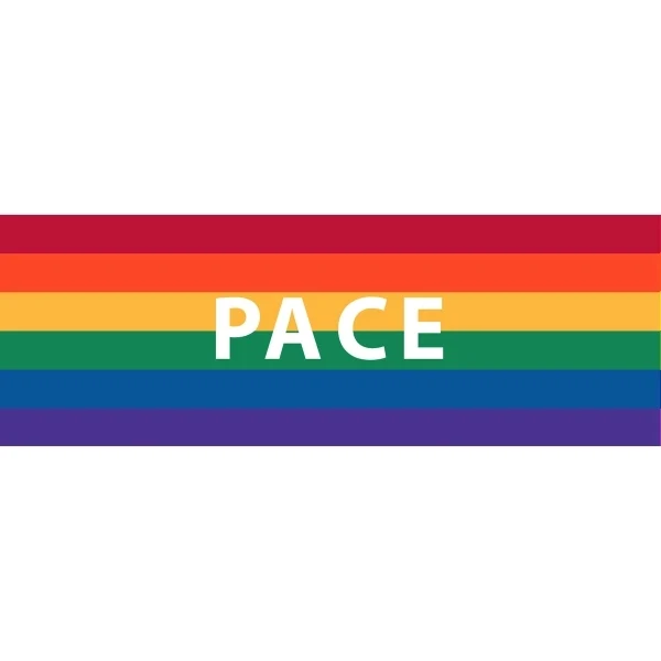 Pace Window Decals 3" x 10" 1