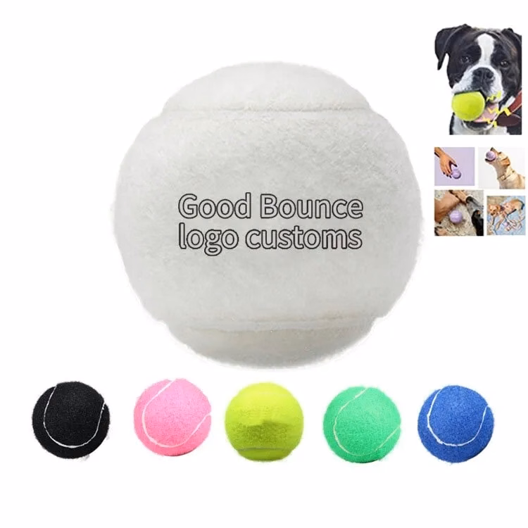Pet Training Ball