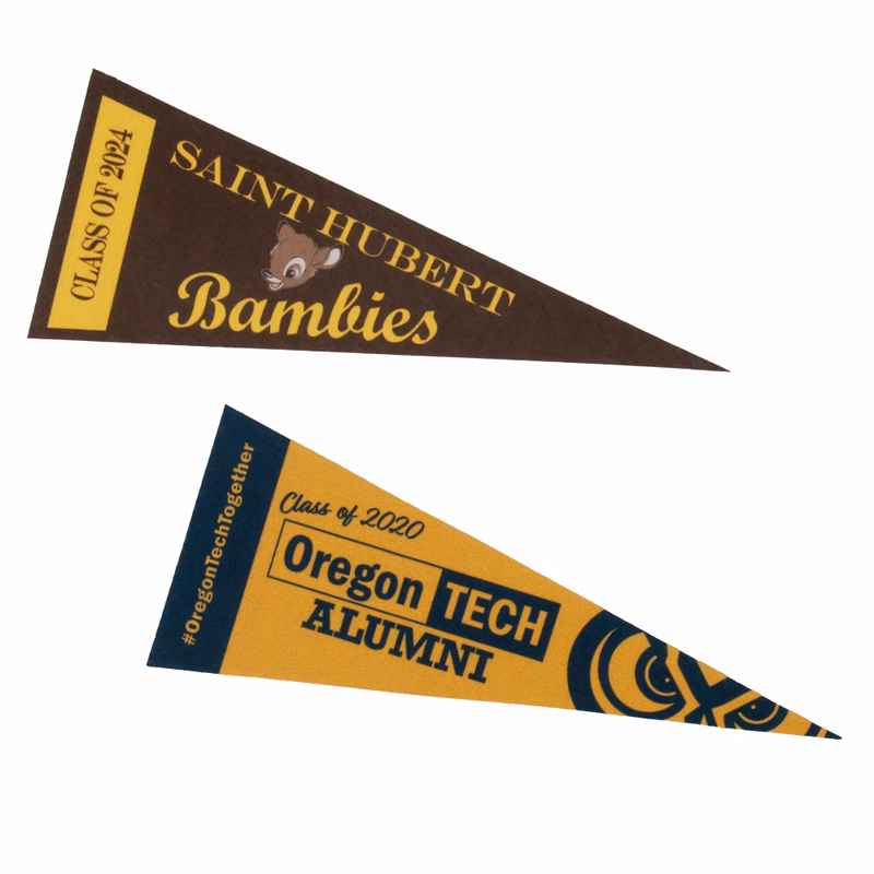 4" x 10" Full Color Felt Pennant, No Strip