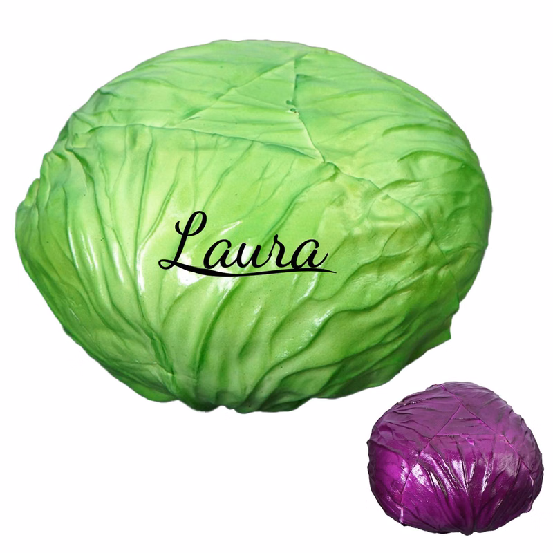 Realistic Cabbage Decorative Model