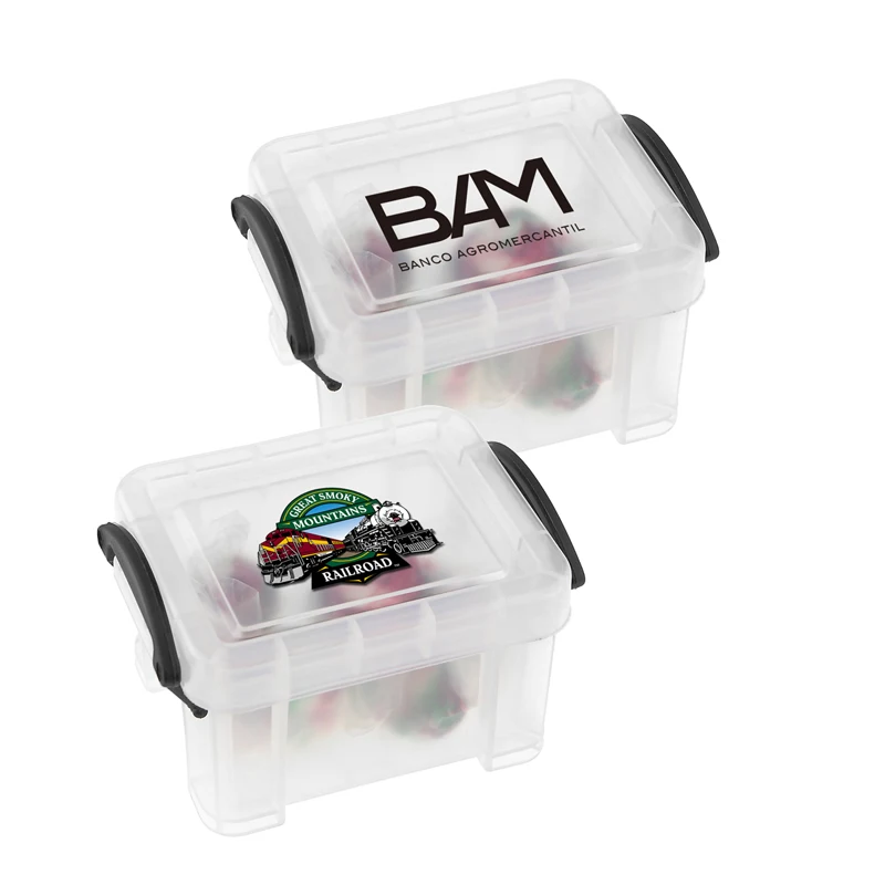 iPosh Mini Storage Case 1