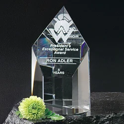 Summit Award 1