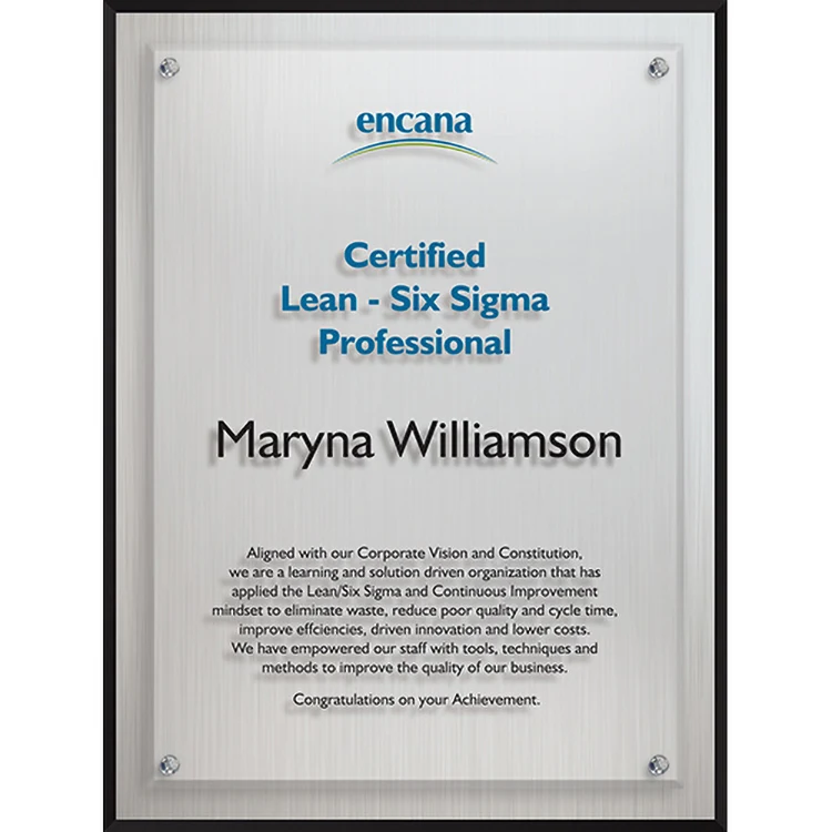 Large Econo Plaque (9"x 12"x 1") Screen-Printed 1