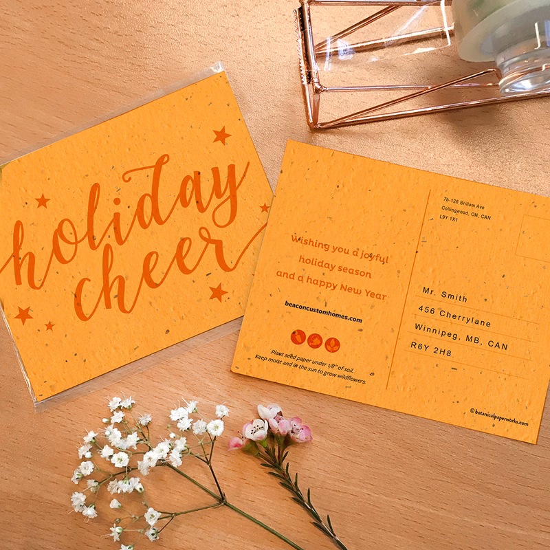 Marigold Cheer Plantable Holiday Postcards