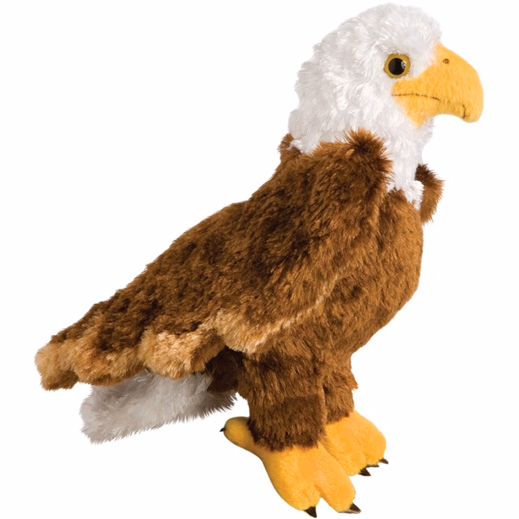 Colbert Eagle