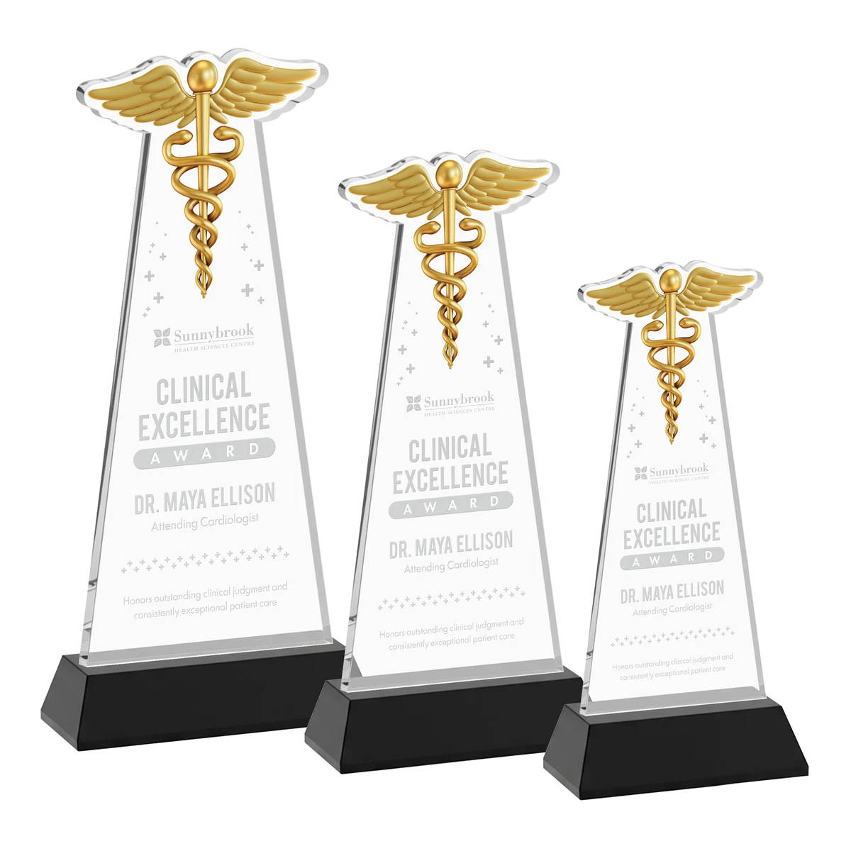 Caduceus Award on Hartford Base - Black 1