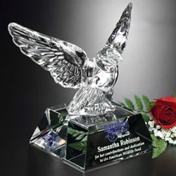 Graceful Eagle 1