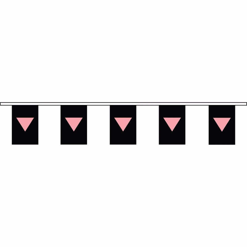 Pink Triangle 60' Streamer