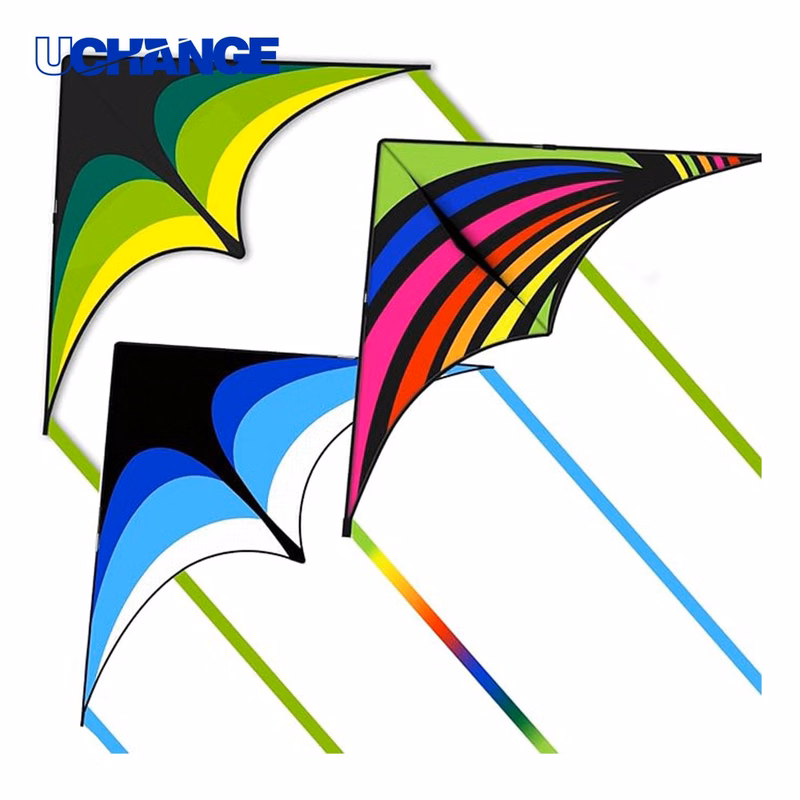 Rainbow Tail Kite for Outdoor Use