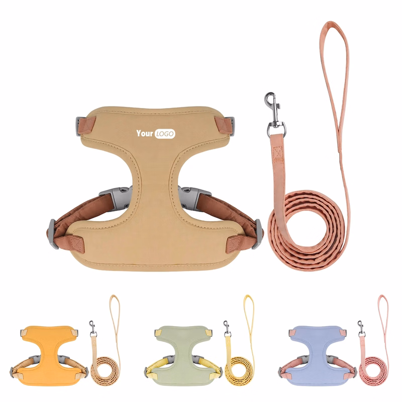 Polyester Pet Leashes When You Go Out
