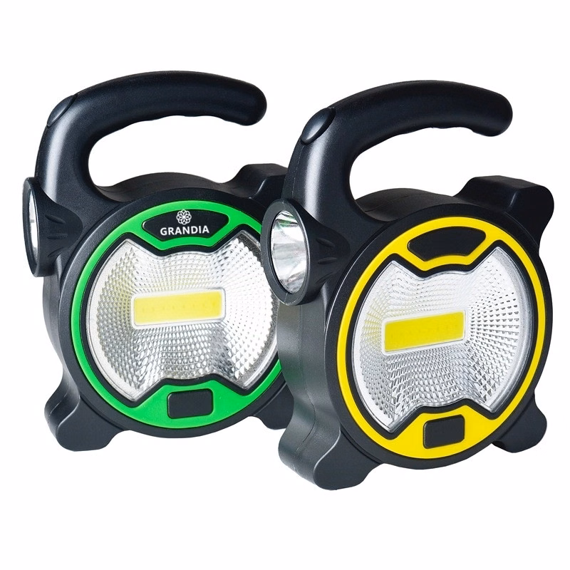 2-In-1 LED Carry Light