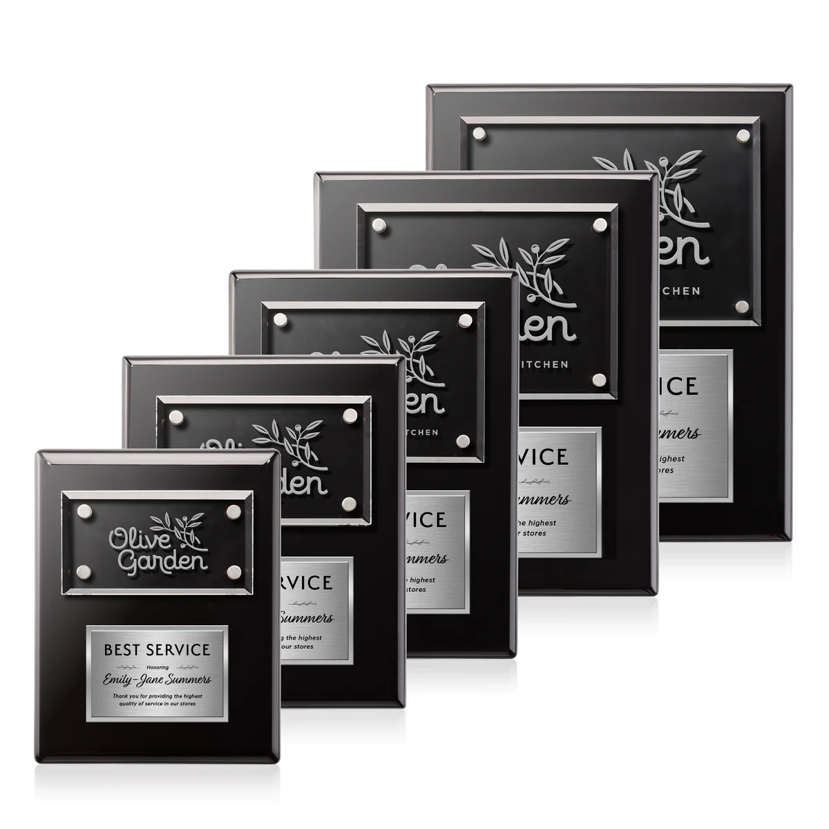 Gossamer Plaque - Black/Silver 1