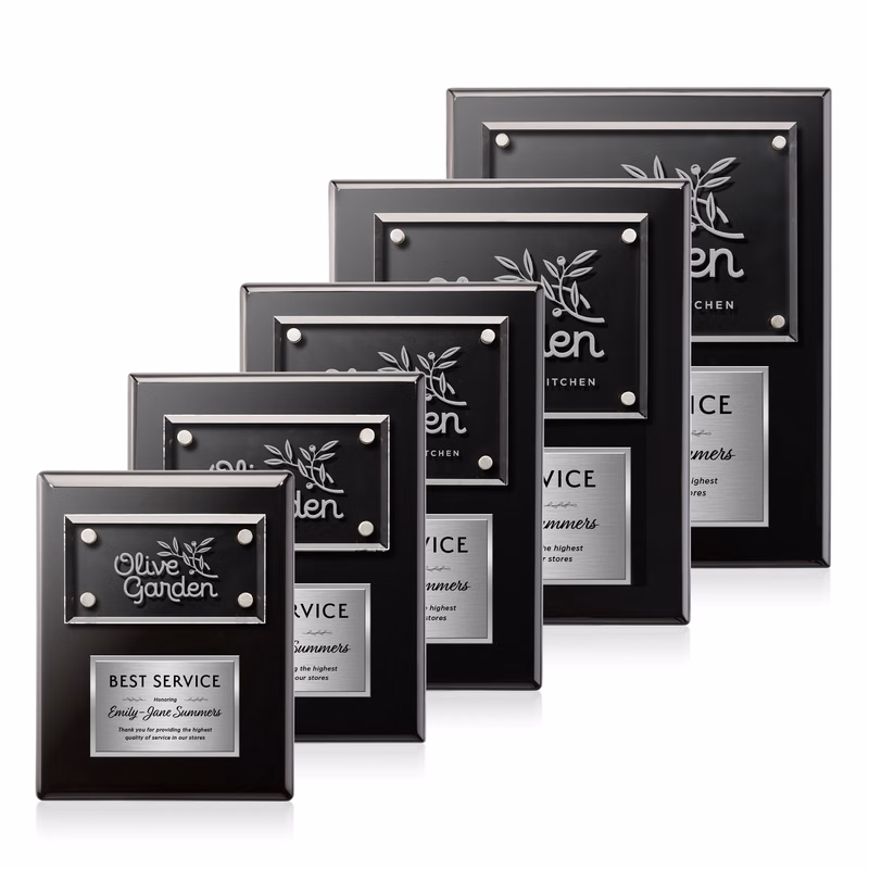 Gossamer Plaque - Black/Silver