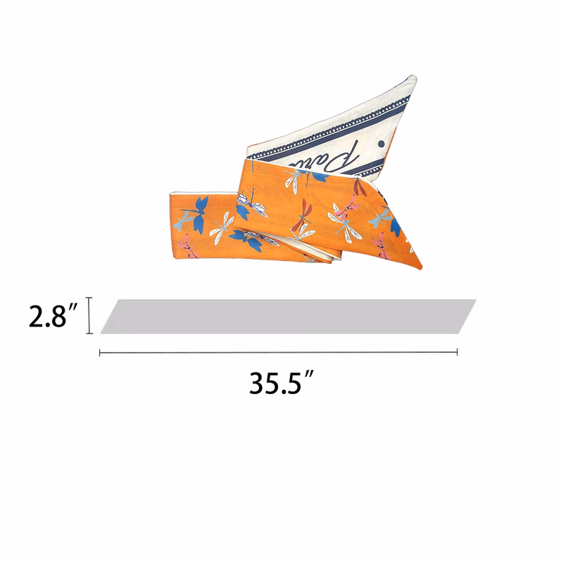 Ribbon Women's Scarf