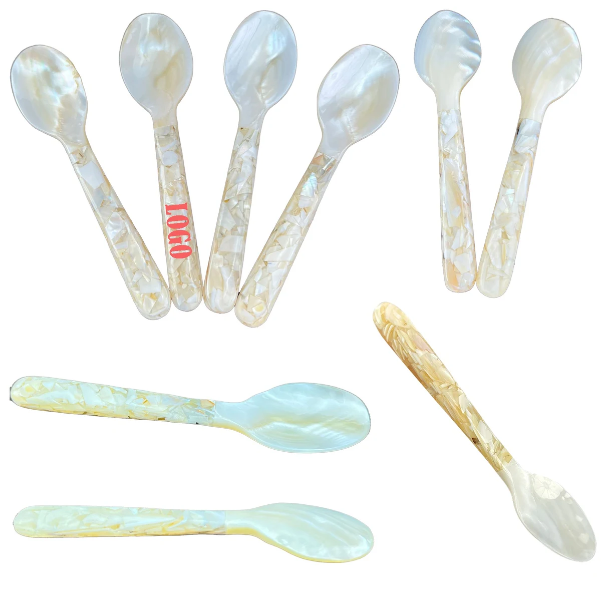 5.5 Inch Shell Spoon 1