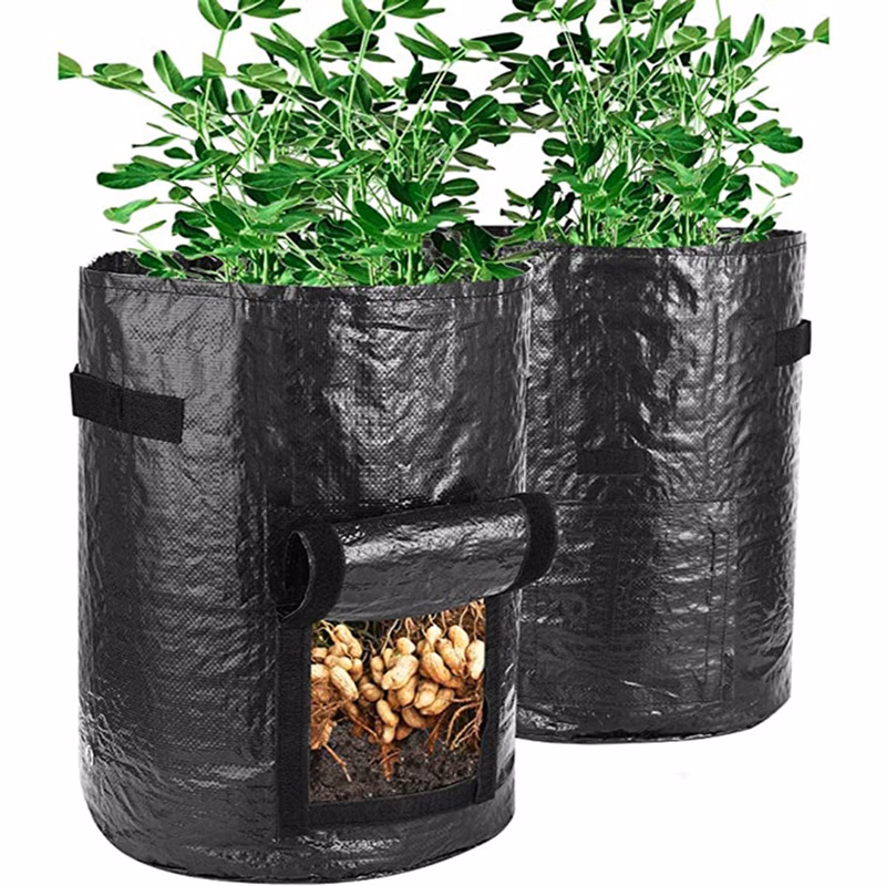 5 Gallons Non-woven Potato Vegetable Grow Bag