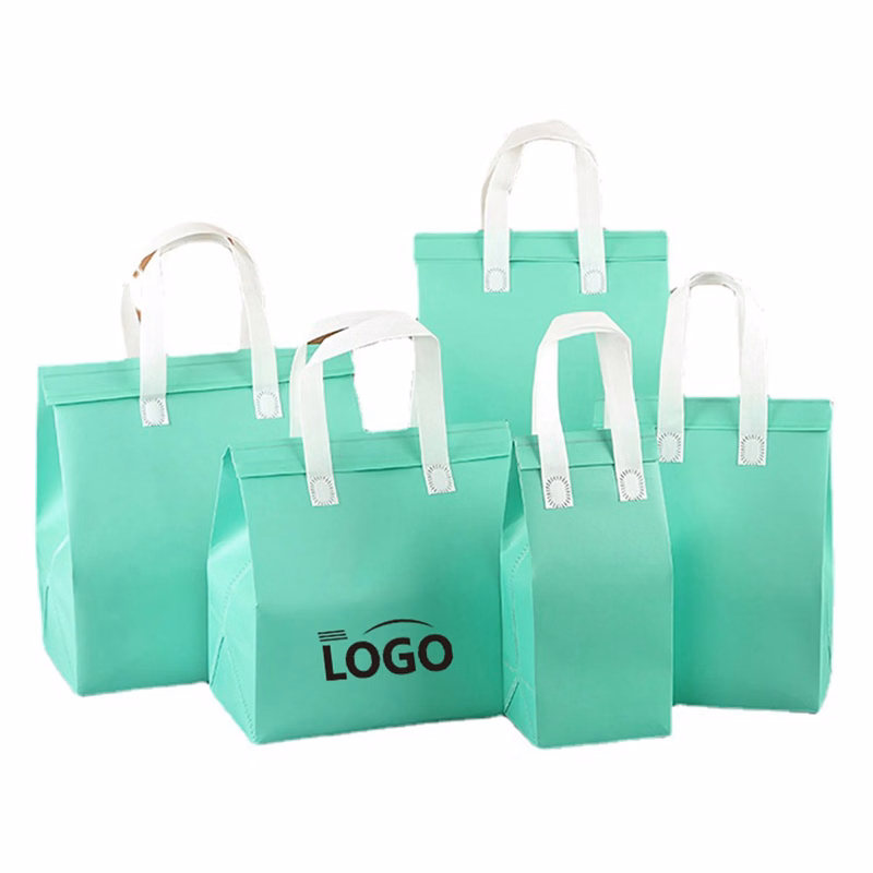 Disposable Non-Woven Insulation Bag 10 " x 9.4 " x 5.9 "
