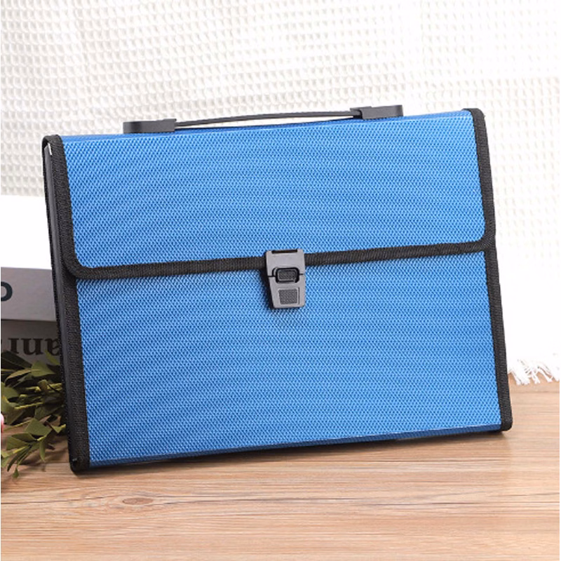 Expandable A4 Document Organizer with 13 Pockets