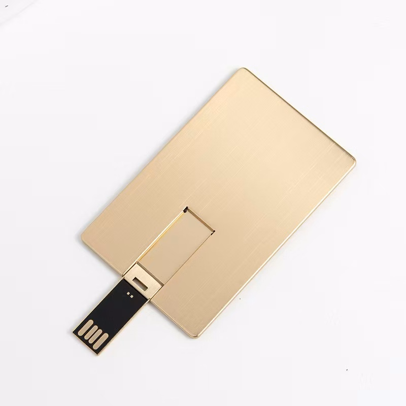 8GB Secure Card Drive