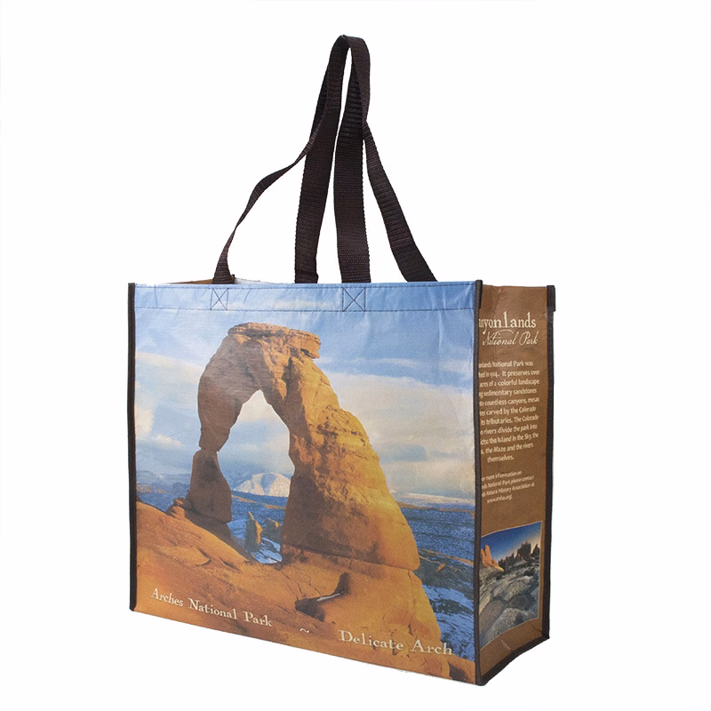 Eco friendly Reusable PET Grocery bags