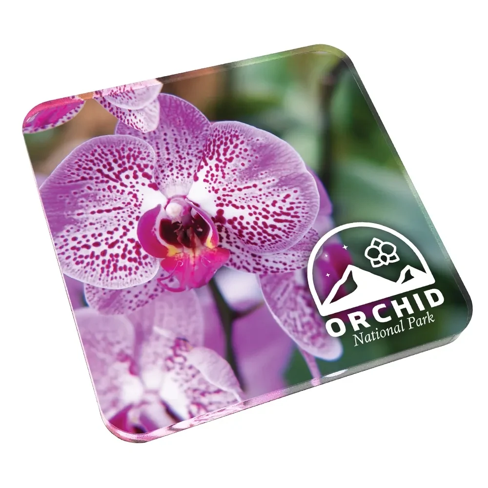 Custom Acrylic Drink Coasters- cork back 1