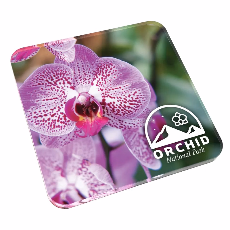 Custom Acrylic Drink Coasters- cork back