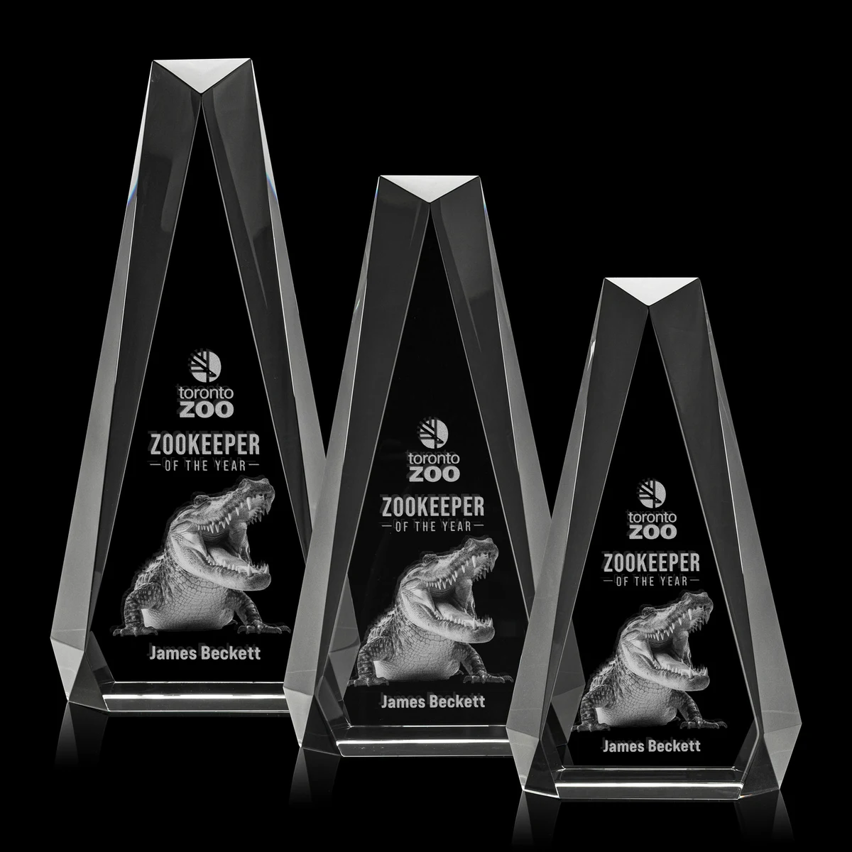 Carmel 3D Award - Clear 1
