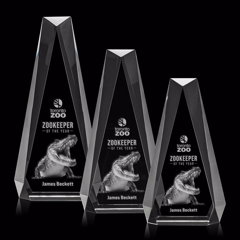Carmel 3D Award - Clear