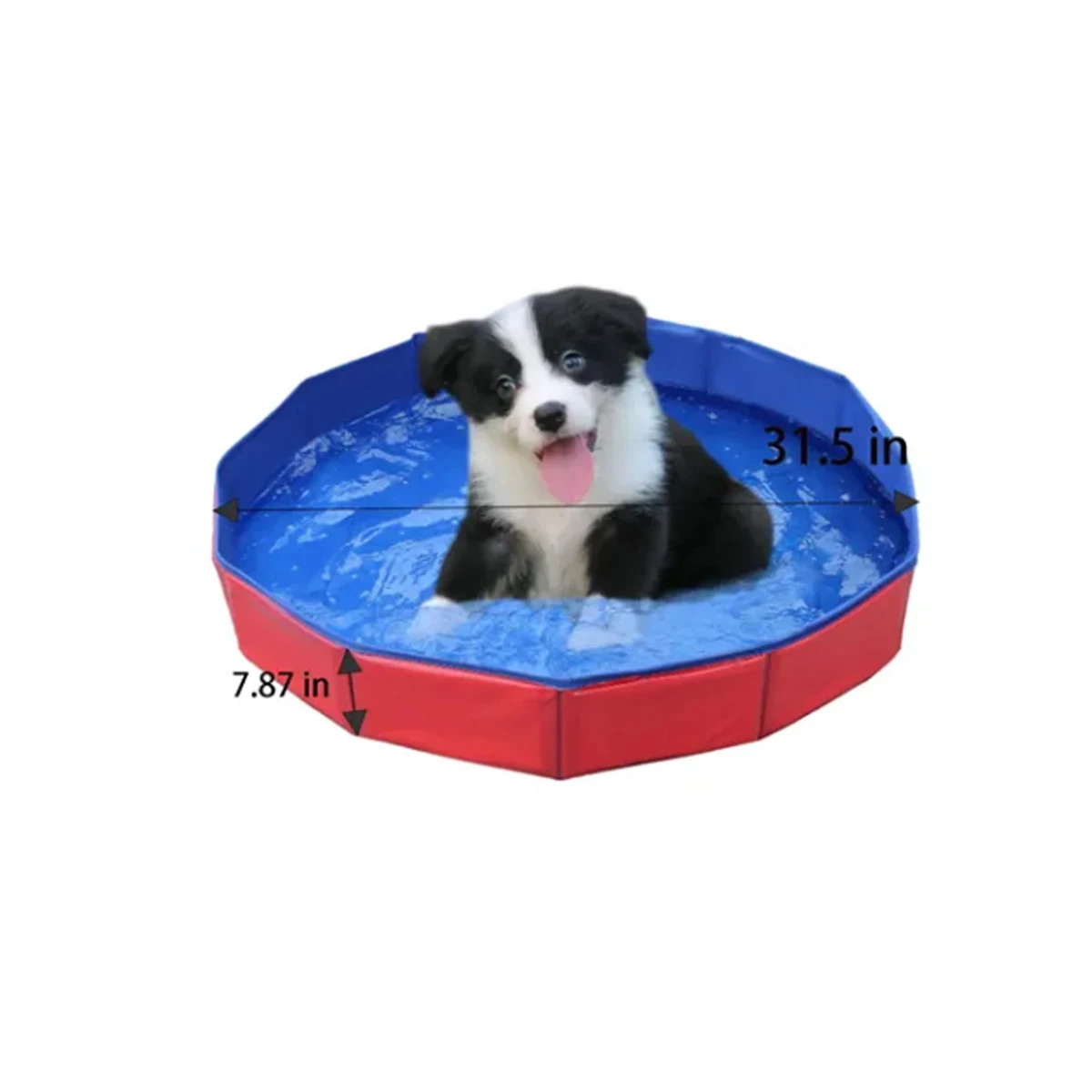 Collapsible Pet Dog Bathing Pool 1