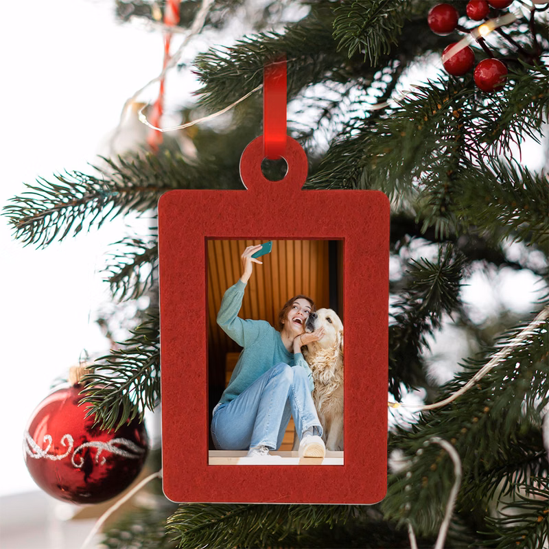 Felt Holiday Photo Frame