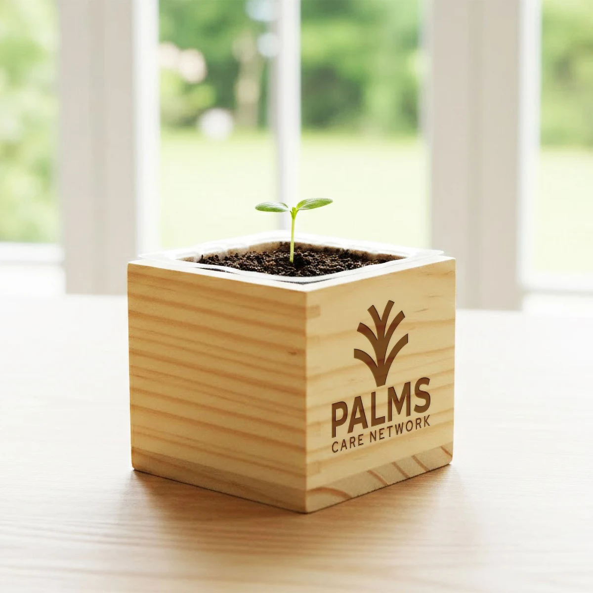 Wooden Cube Grow Kit 1