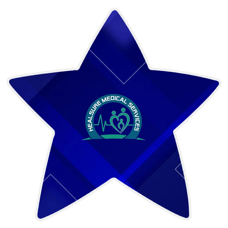 Star Shaped Magnet 1