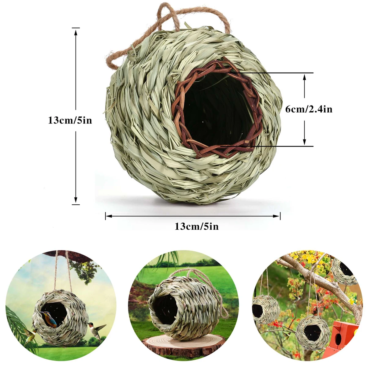 Hummingbird Nest 1