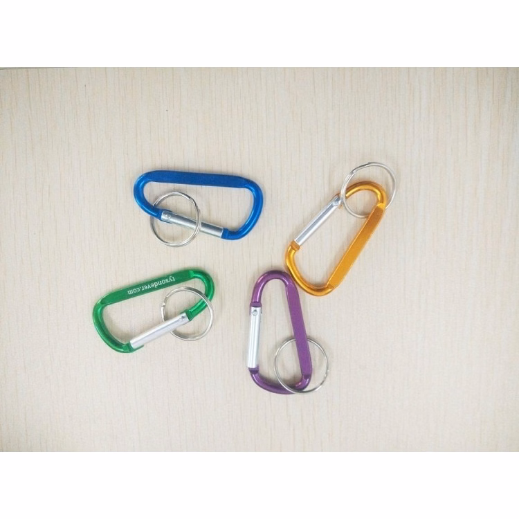 Carabiner Key Chain
