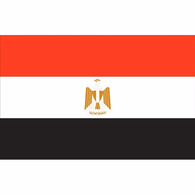 Egypt Flag - 2' x 3' - Nylon