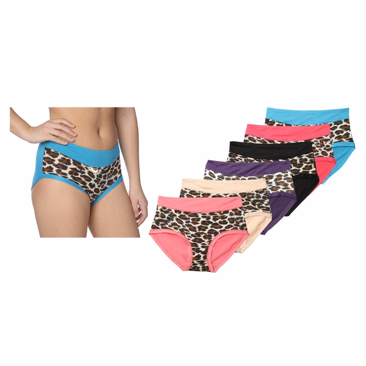 Women's Nylon/Spandex Panties - Cheetah Prints Sizes 8-10