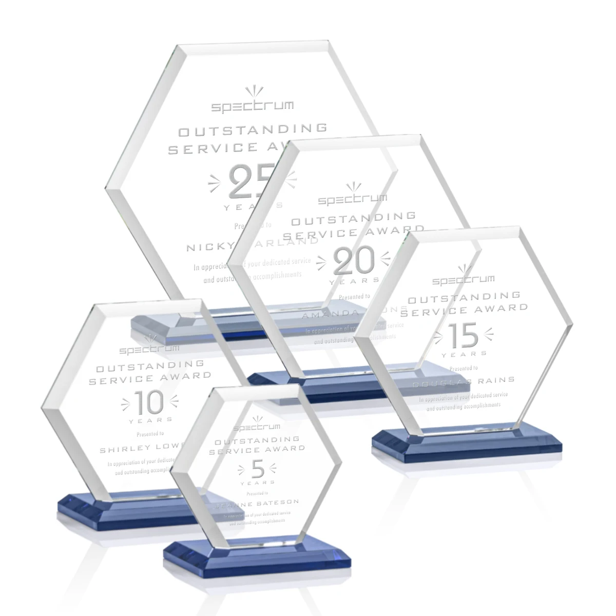 Barnett Award - Blue 1