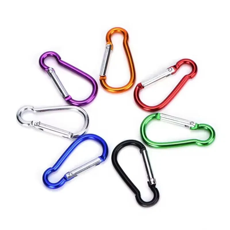 Refined Carabiner Clip Keychain 1