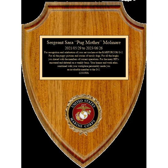 Arrowhead Walnut Shield 1