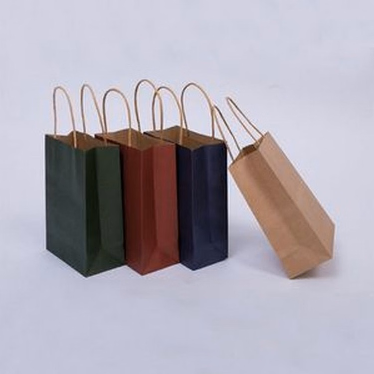 Luxury Party Paper Gift Bag w/ Twisted Raffia Handles