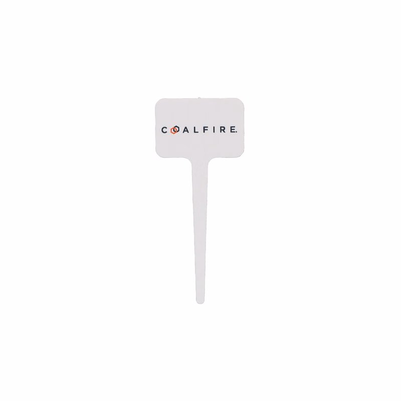 Plastic Food Pick 3.500" Rectangle (Color) Digital Print